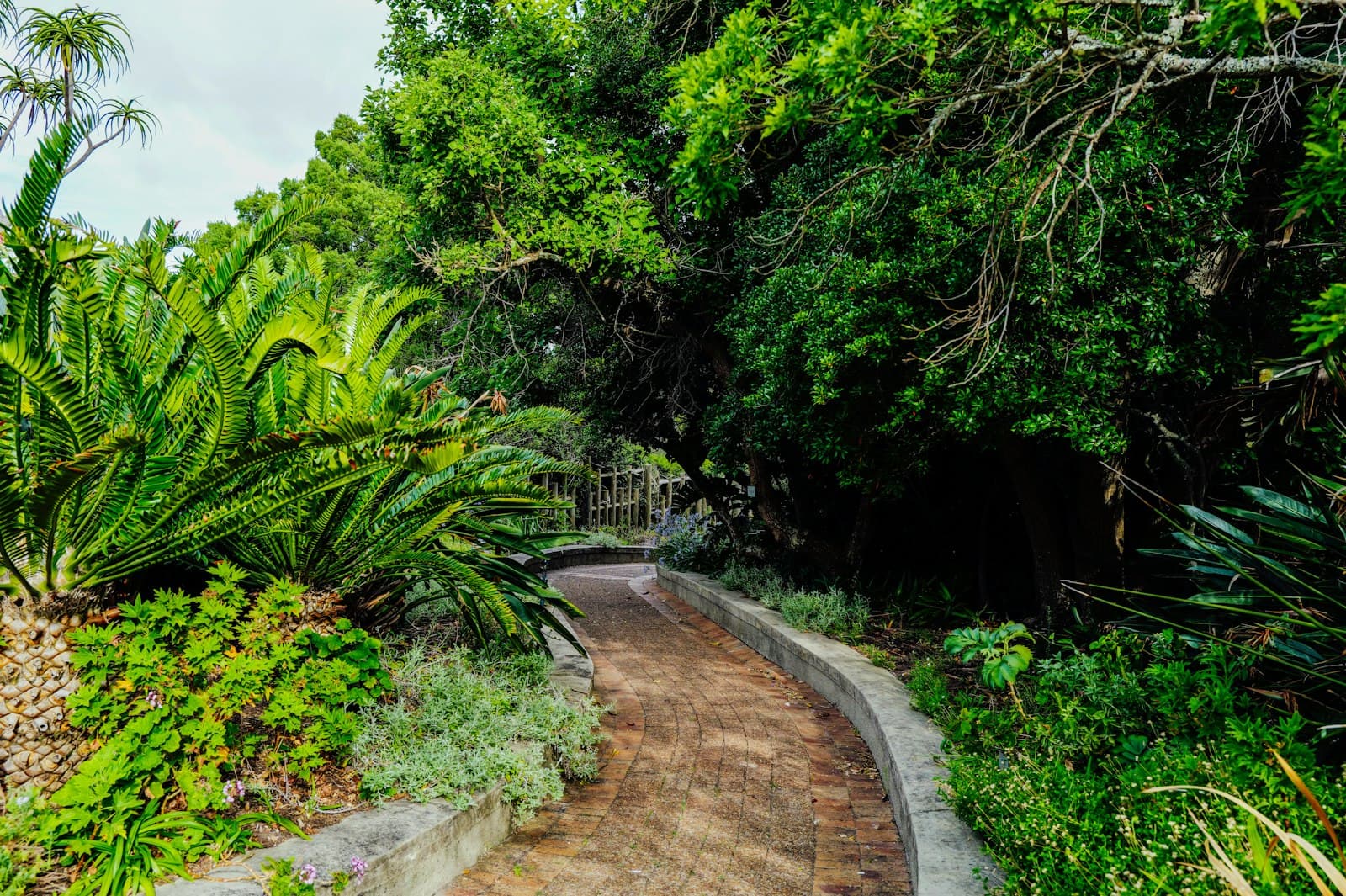 Sendero de piedra que serpentea a través de un exuberante jardín tropical con palmeras y plantas nativas
