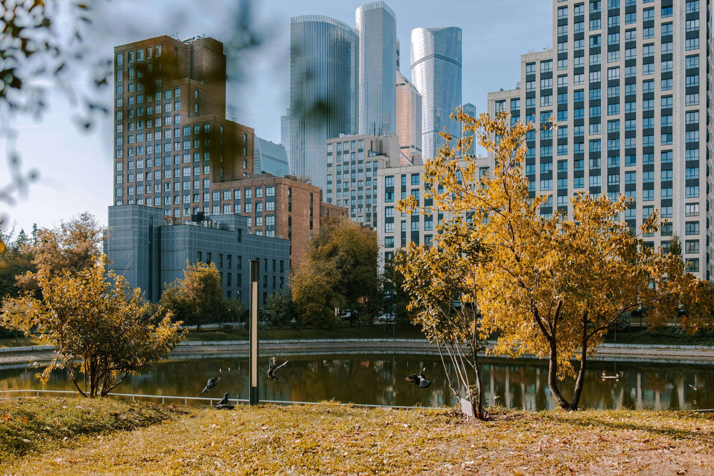 Una mujer serena meditando en un parque urbano, con edificios modernos de fondo