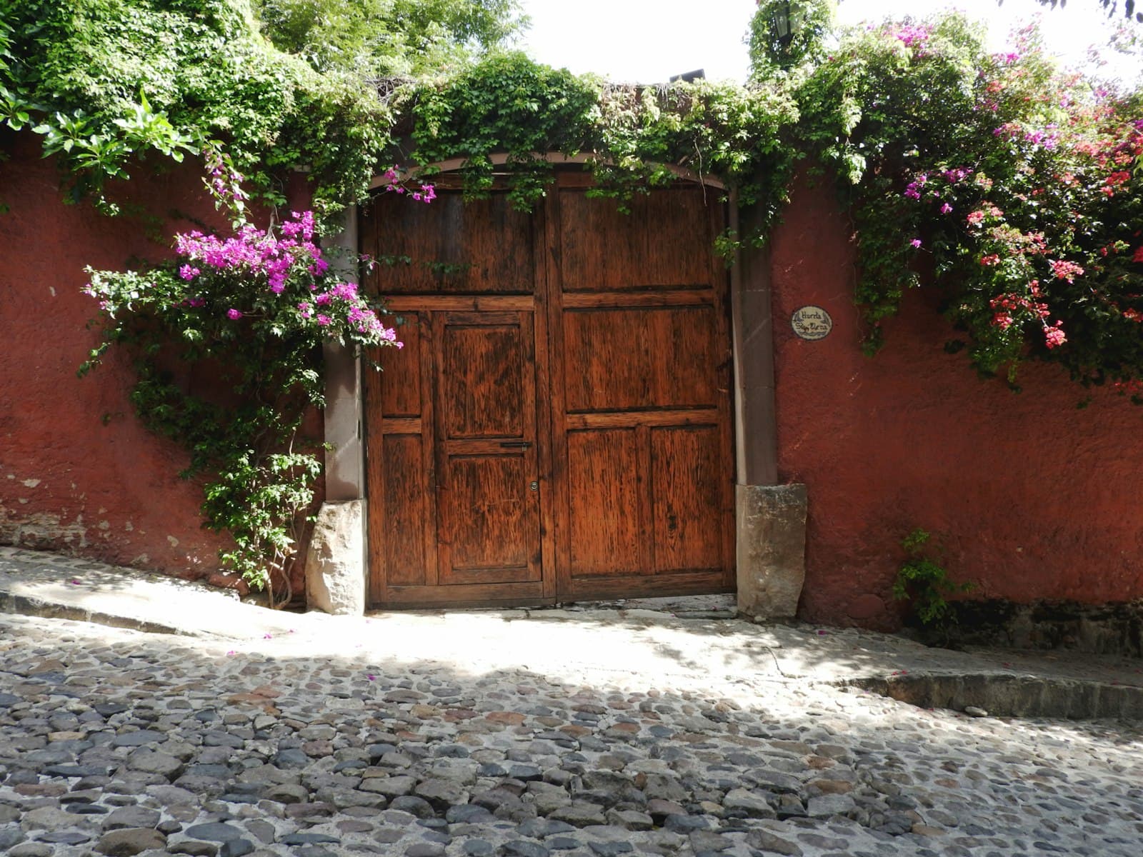 Un patio sereno en San Miguel de Allende, con plantas exuberantes y arquitectura colonial.
