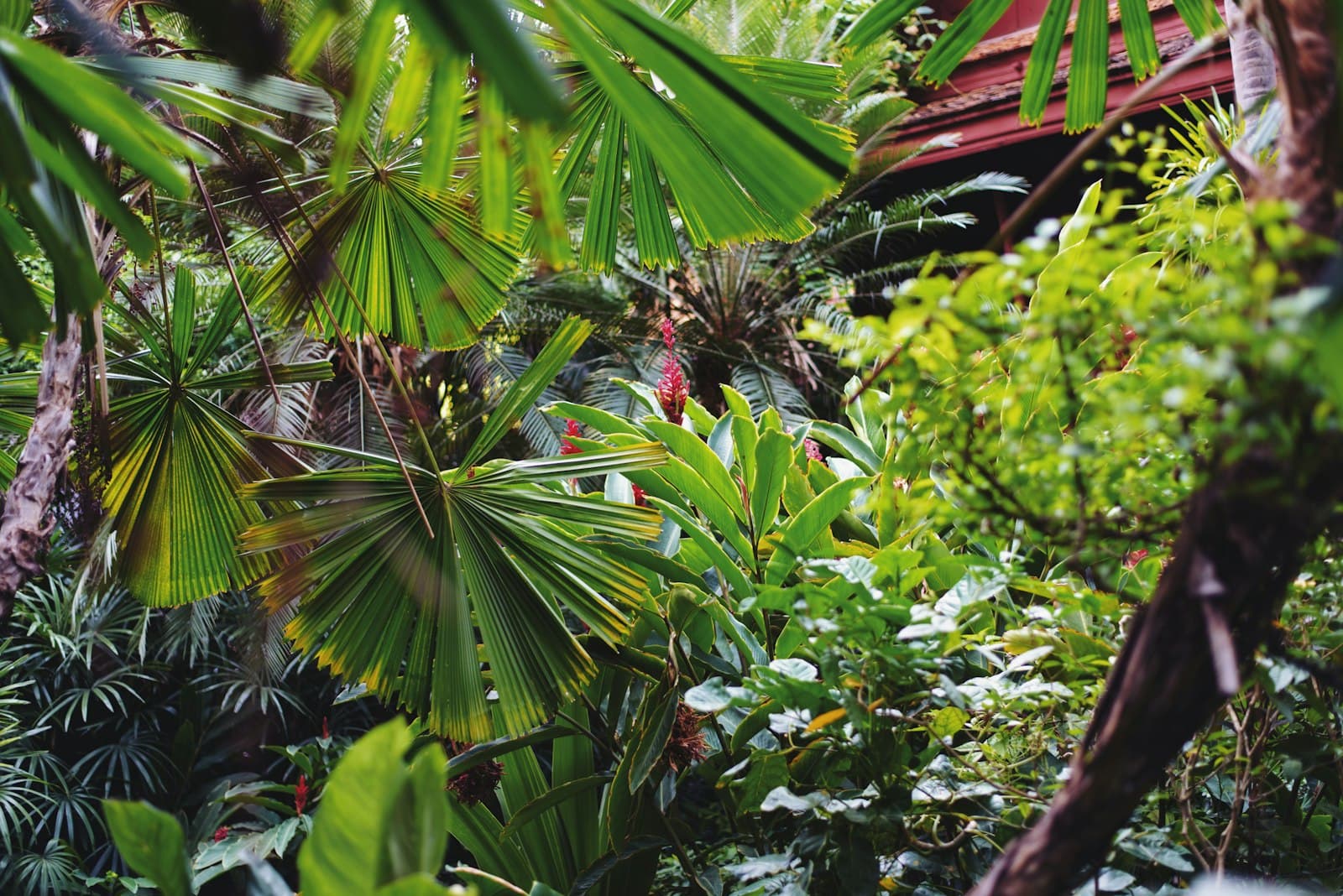 Hamaca blanca en un jardín tropical exuberante, un lugar para el descanso