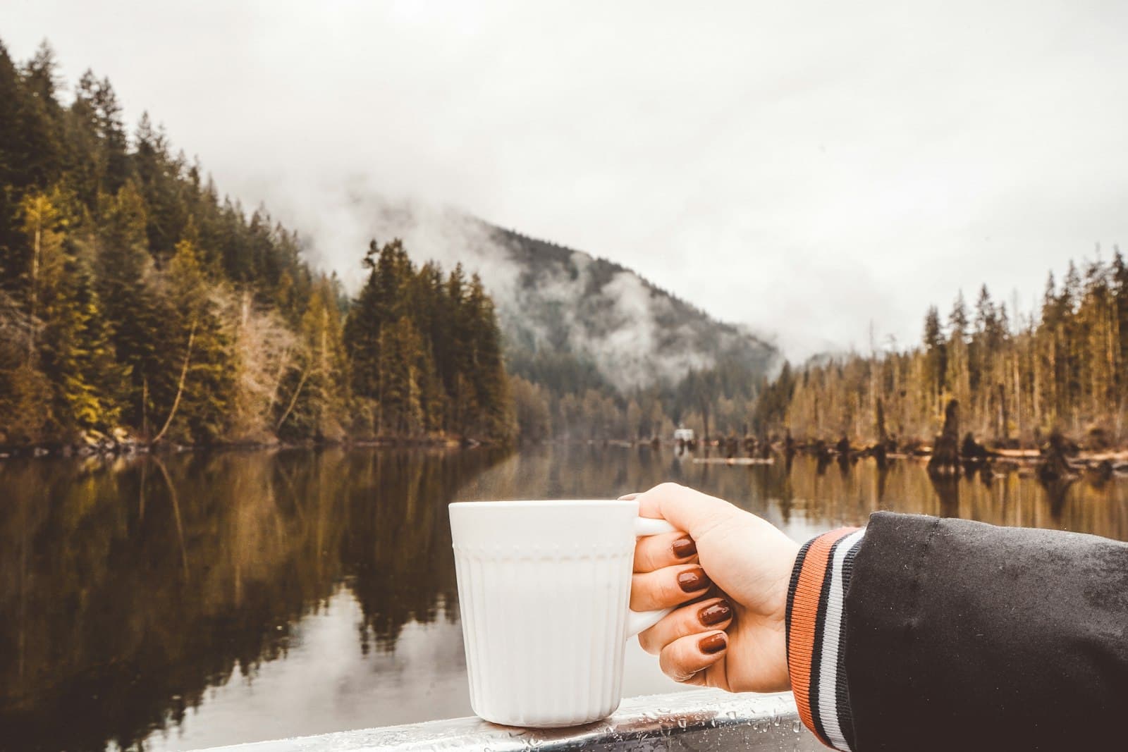Manos sosteniendo una taza caliente en un entorno natural pacífico