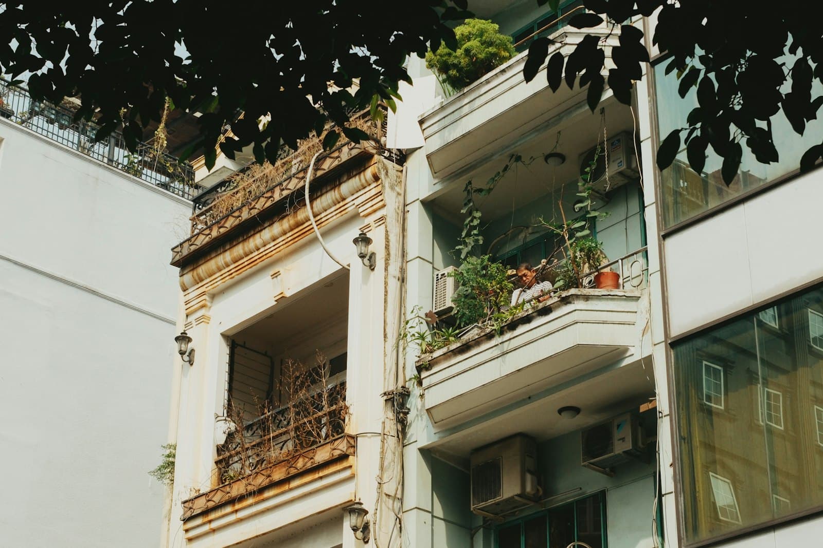 Manos regando pequeñas plantas en el balcón de un apartamento, con vista a la ciudad
